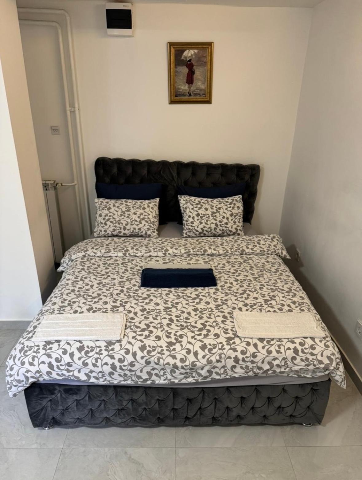 Alexandar13 Appartement Belgrado Buitenkant foto
